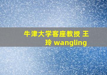 牛津大学客座教授 王玲 wangling